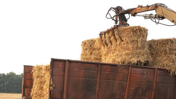 Tractor collecting straw bales close up. - Photo, Image