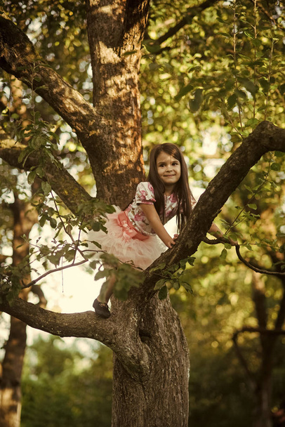 Small girl climb tree in summer garden, activity - Fotó, kép