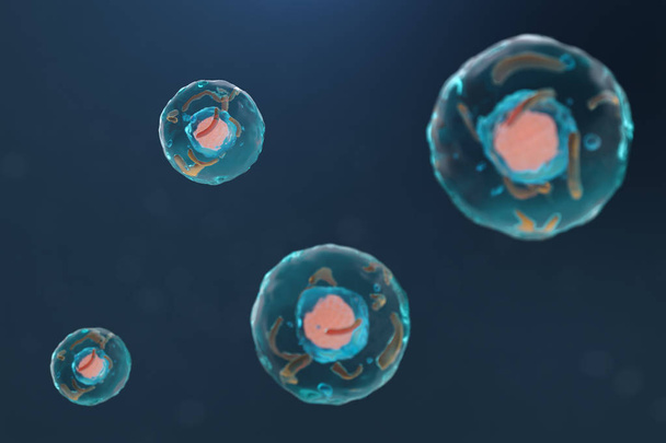 3D απεικόνιση κυττάρων ενός ζωντανού οργανισμού, επιστημονική έννοια. Εικονογράφηση σε μπλε φόντο. Η δομή του κυττάρου σε μοριακό επίπεδο, κάτω από ένα μικροσκόπιο. κρυπτογραφημένο Dna στο κελί. - Φωτογραφία, εικόνα