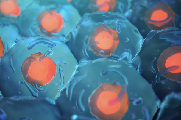Menschliche Zellen. Zellkolonie. Konzept von Wissenschaft und Medizin. Regeneration der Zellen, Erneuerung der Zellen. 3D-Illustration - Foto, Bild