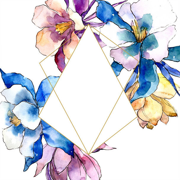 Watercolor colorful aquilegia flower. Floral botanical flower. Frame border ornament square. Aquarelle wildflower for background, texture, wrapper pattern, frame or border. - Fotó, kép