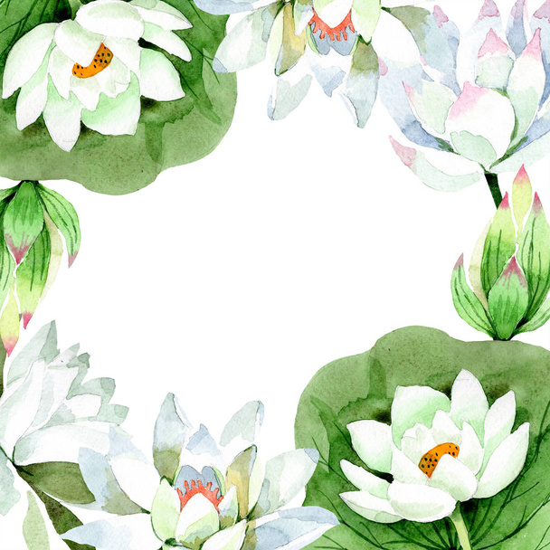Watercolor white lotus flower. Floral botanical flower. Frame border ornament square. Aquarelle wildflower for background, texture, wrapper pattern, frame or border. - Foto, imagen
