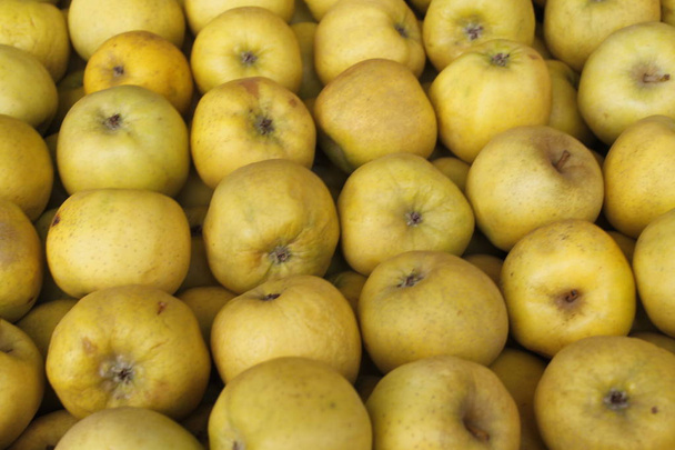 Ένα μάτσο ώριμα φρεσκοκομμένα οργανικά τραγανή κίτρινο χρυσά μήλα στον πάγκο αγορά αγρότες τοπικά προϊόντα. - Φωτογραφία, εικόνα