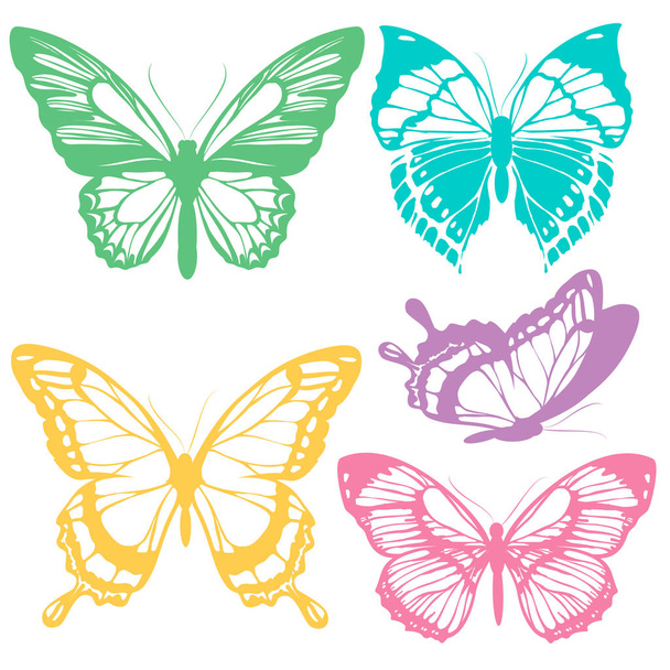 Set of bright colorful butterflies isolated on white background - Foto, imagen