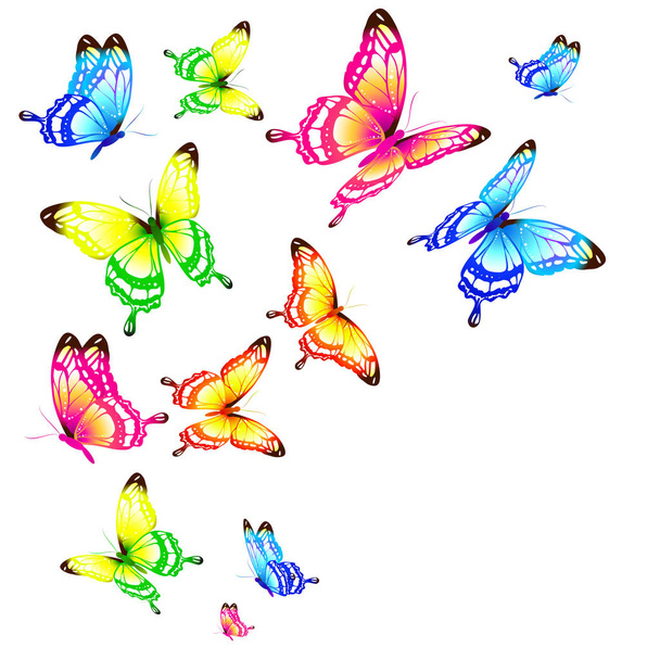 Set of bright colorful butterflies isolated on white background - Valokuva, kuva