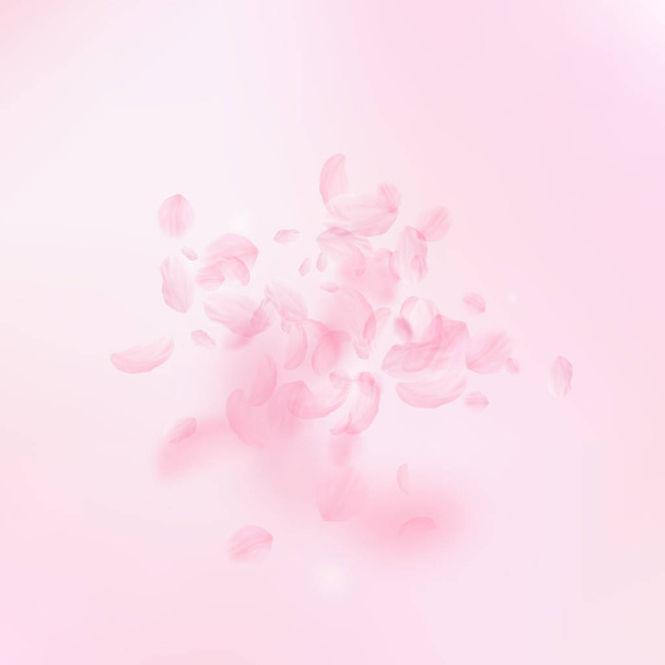 Sakura bloemblaadjes vallen. Romantische roze bloemen explosie. Vliegende bloemblaadjes op roze vierkante achtergrond - Vector, afbeelding