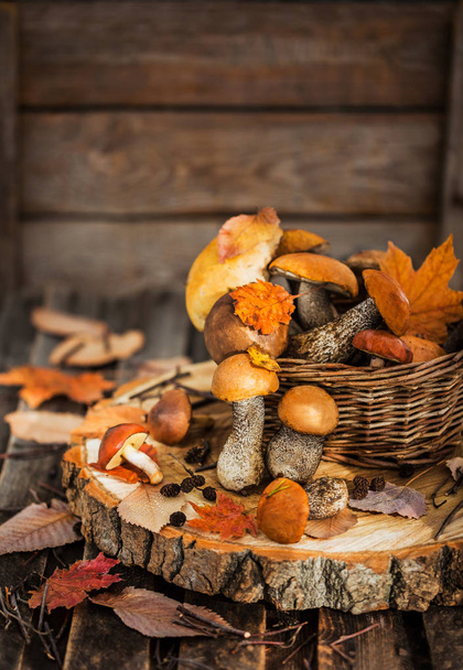 Autumnal wild forest edible mushrooms (boletus) in basket on rustic wooden background - Foto, Imagen