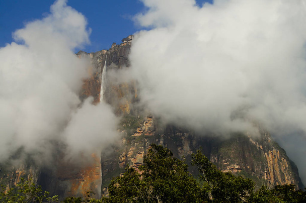 Cachoeira de Angel Falls - Venezuela
 - Foto, Imagem