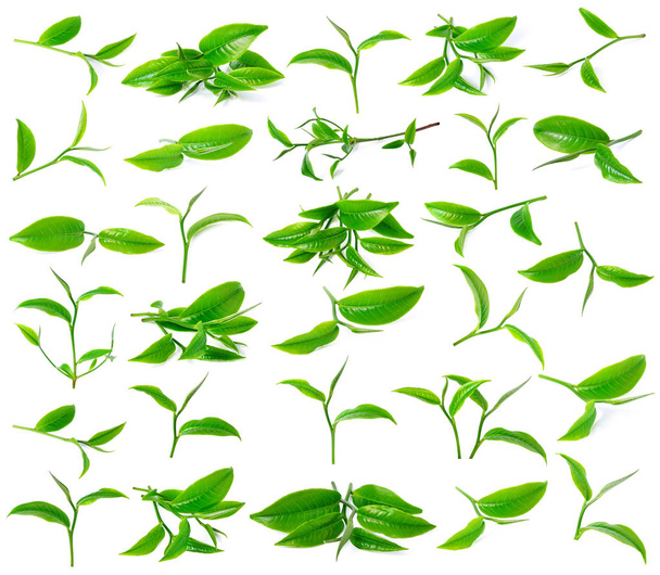 Зелений чайний лист ізольований на білому тлі
 - Фото, зображення