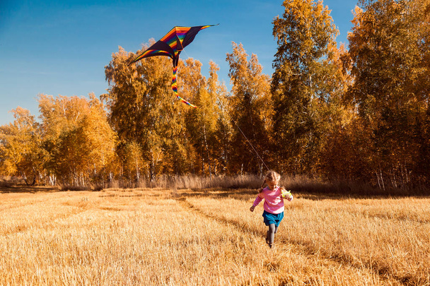 秋の livestyle と家族の屋外のレクリエーションの概念。ブロンドの陽気な女の子楽しんで自然とフィールドと黄色の木の背景に暖かい秋の晴れた日の凧で遊ぶ.  - 写真・画像