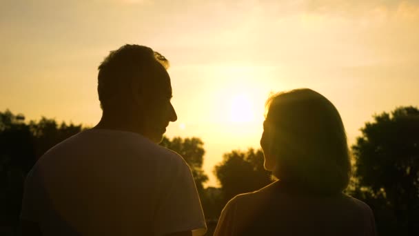 Σιλουέτα του παλιό ζευγάρι αγκαλιάζει, παρακολουθώντας το ηλιοβασίλεμα μαζί, ασφαλή γεράματα - Πλάνα, βίντεο