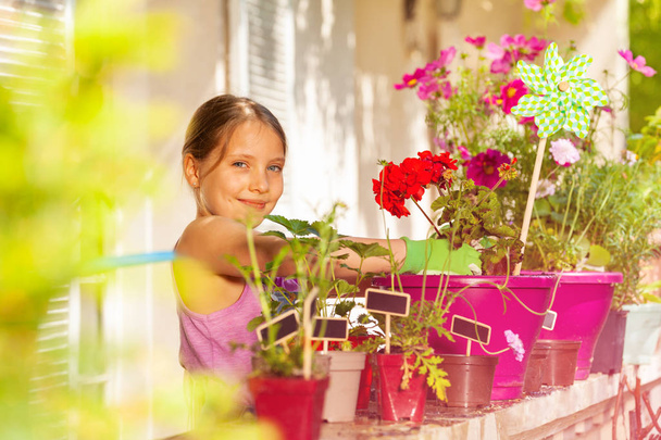 Portrait of preteen girl in gardening gloves potting red geranium on the balcony, smiling and looking at camera - Photo, image