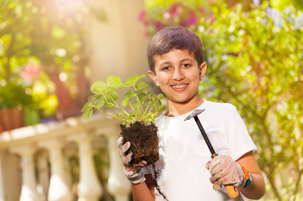 Close-up portrait of preteen boy wearing gardening gloves, holding strawberry plants and garden trowel - Foto, Imagen