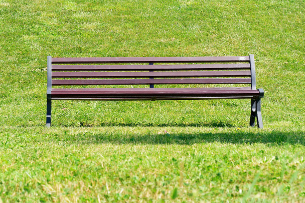 Vacant bench in the park frontal view - Photo, Image