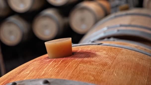 Oak Barrels In Wine vault - Footage, Video