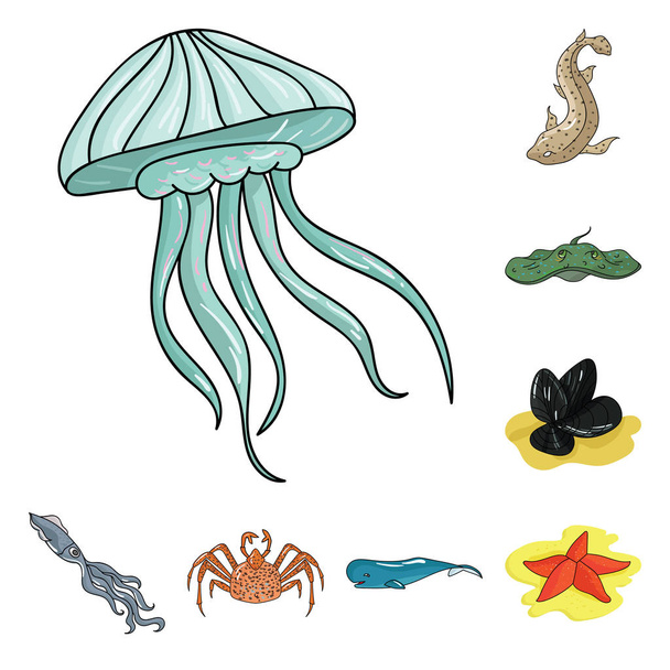 A variety of marine animals cartoon icons in set collection for design. Fish and shellfish vector symbol stock web illustration. - Vector, afbeelding
