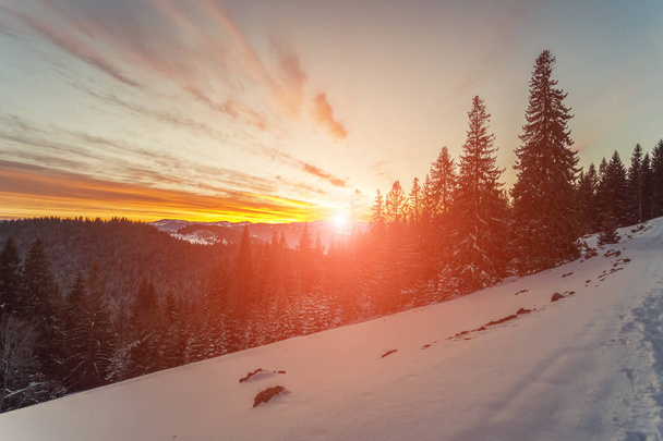Beautiful winter mountains landscape - Zdjęcie, obraz
