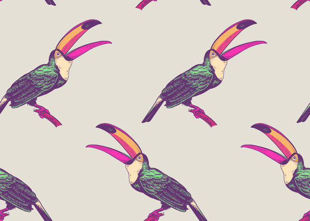 Birds toucans on white background. Seamless pattern for design paper, wallpaper, textile. Vector illustration of nature. Vintage. Hand drawing of the animals. - Vecteur, image