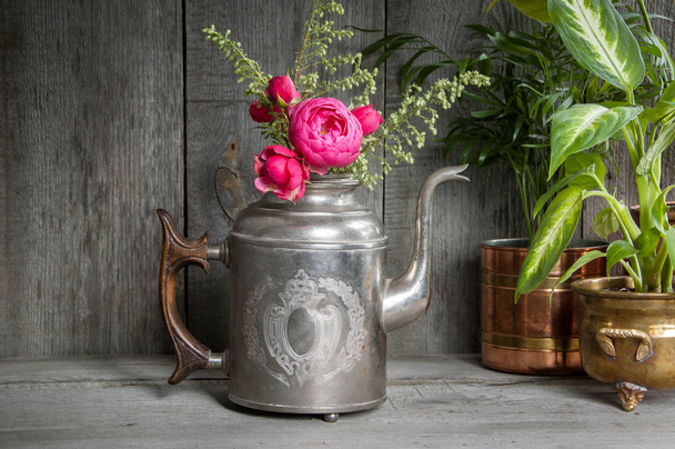 Roses roses dans une vieille bouilloire en argent et plantes vertes
 - Photo, image