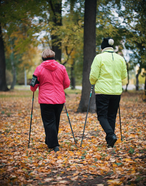 Two elderly women are involved in Scandinavian walking in the park in off-road in the middle of the trees. Back view - Photo, Image