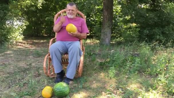 Oekraïense senior boer toont zijn biologische oogst zittend in een rieten stoel - Video
