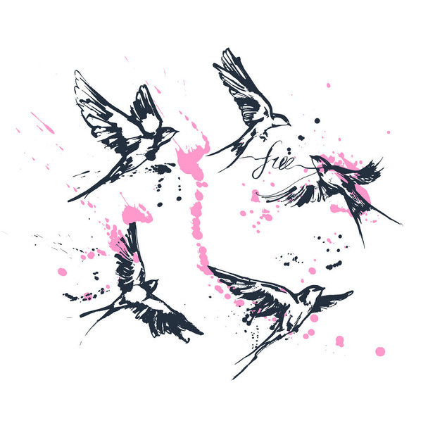 Vector illustrations of a dynamic flying swallow birds set. Modern splashing ink sketchy painting artwork. Blue drawing with calligraphy flourishing label free and pink splashes. Perfect tattoo or t-shirt print. - Vektor, obrázek
