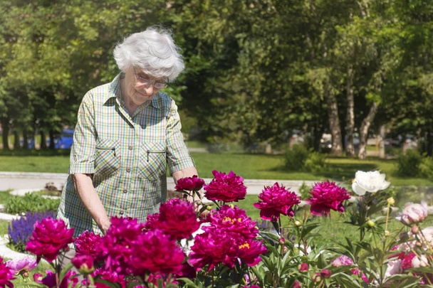 Senior woman with peonies flowers in a park  - Zdjęcie, obraz