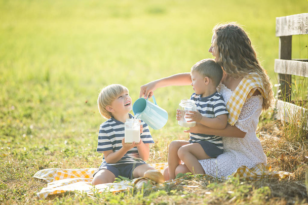 Young pretty mother having picnic with her little children.  - Photo, Image