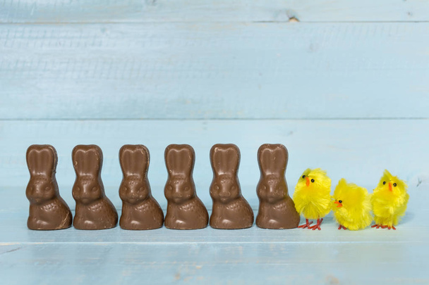 Chocolate Easter rabbits and yellow chicken on a blue wooden background - Foto, Imagen