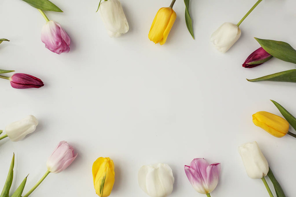 top view of beautiful colorful tulips over white background - Foto, Imagem