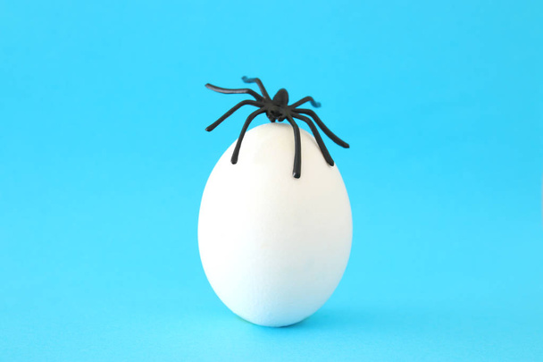 minimal and funny Halloween holiday concept. White egg with spider on top - Фото, зображення