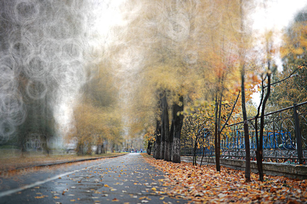 Őszi háttérképet eső a parkban - Fotó, kép
