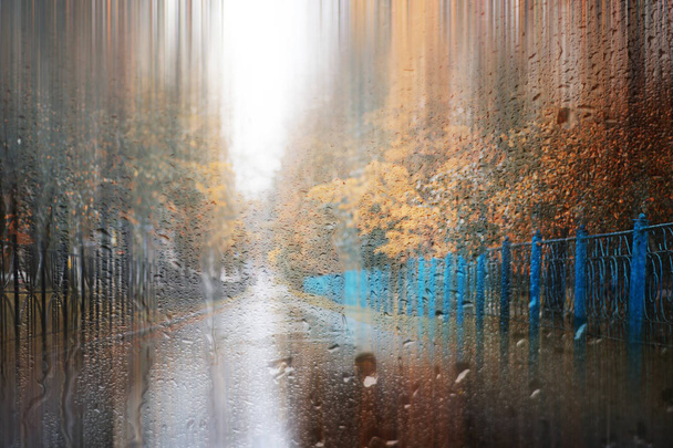 Background autumn rain in the park - Photo, Image