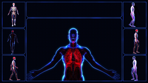 menselijke ademhalingswegen - Video