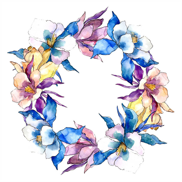 Watercolor colorful aquilegia flower. Floral botanical flower. Frame border ornament square. Aquarelle wildflower for background, texture, wrapper pattern, frame or border. - Φωτογραφία, εικόνα