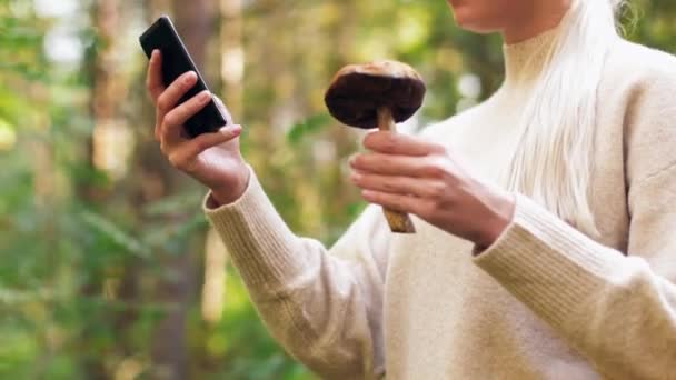 woman with mushroom and smartphone in forest - Filmagem, Vídeo