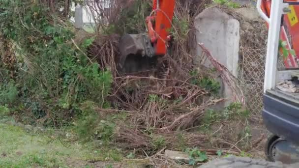 mini-escavadeira puxando as pequenas árvores
 - Filmagem, Vídeo