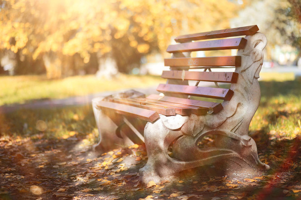 Herbst Hintergrund im Park - Foto, Bild