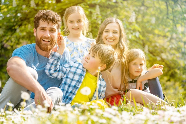 Familia de cinco personas sentadas en un prado soplando flores de diente de león
 - Foto, imagen