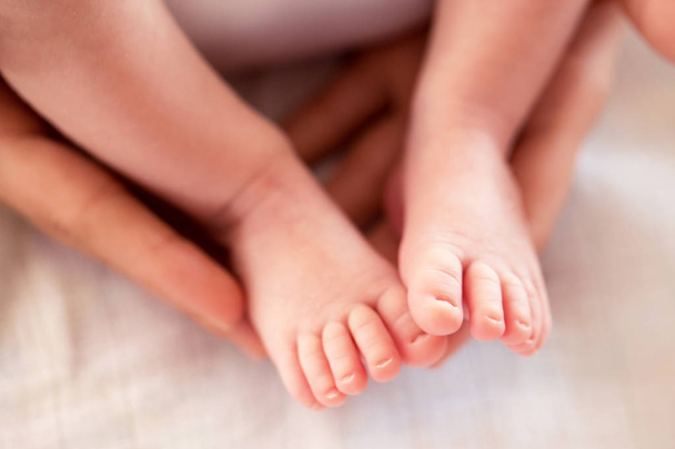 Primo piano dei piedi morbidi del bambino nelle mani di una madre amorevole
  - Foto, immagini