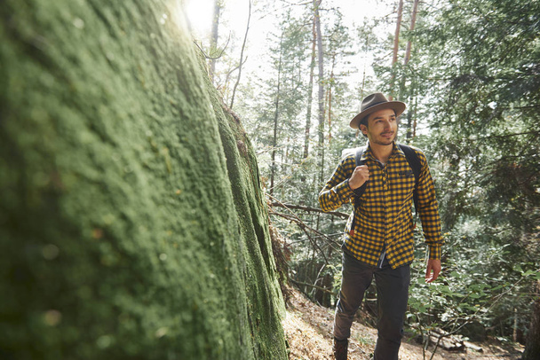 Randonneur masculin avec sac à dos marchant dans la forêt
  - Photo, image