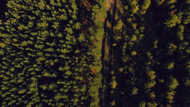 4K εναέρια πτήση πάνω από ένα όμορφο καταπράσινο δάσος σε ένα αγροτικό τοπίο - Φωτογραφία, εικόνα