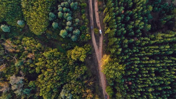 4K aerial of flying over a beautiful green forest in a rural landscape - Photo, Image