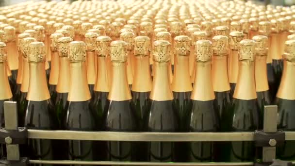 工場のベルトコンベアにシャンパンのボトル - 映像、動画