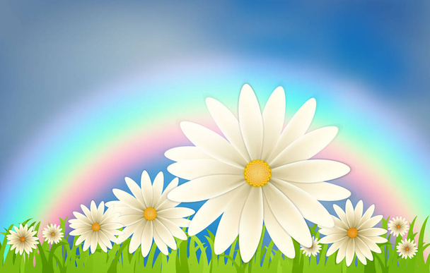 虹と青の空を背景に芝生の上のヒナギク. - ベクター画像