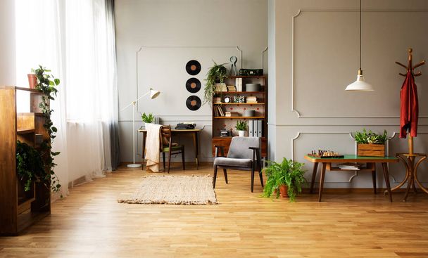 Lámpara encima de la mesa con planta en el interior del apartamento gris con sillón cerca de escritorio y alfombra. Foto real
 - Foto, imagen