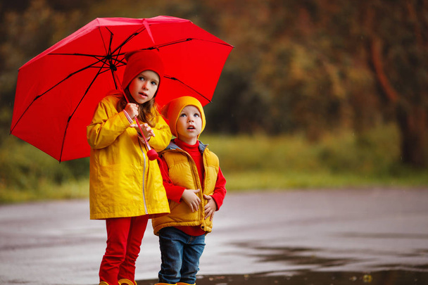 happy children with an umbrella on an autumn wal - Photo, Image