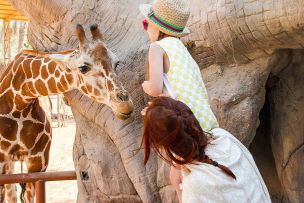 Mom and daughter feed a giraffe - Foto, afbeelding