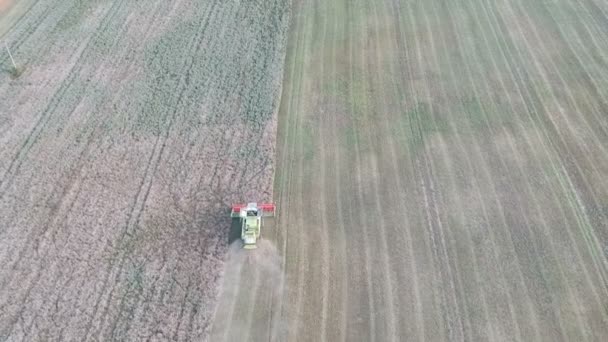 Combine harvester harvesting rapeseed field in summer end farmland, aerial - Footage, Video