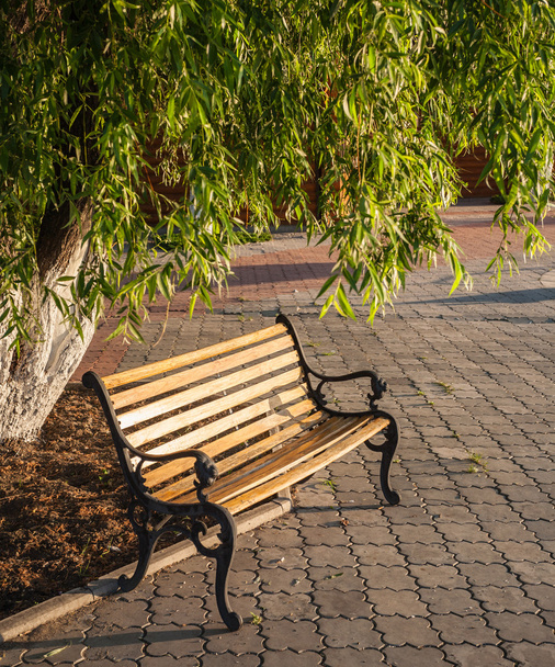 wooden bench at a park - Photo, Image